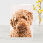 Goldendoodle Studio Portrait Karte (Gelbe Blume)