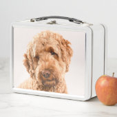 Goldendoodle Studio Portrait Metall Brotdose (Beispiel)