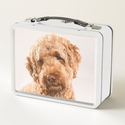 Goldendoodle Studio Portrait Metall Brotdose (Rückseite)
