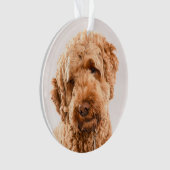 Goldendoodle Studio Portrait Ornament (Vorderseite)