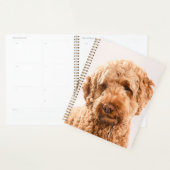 Goldendoodle Studio Portrait Planer (Anzeige)