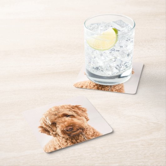 Goldendoodle Studio Portrait Rechteckiger Pappuntersetzer (Vor Ort)