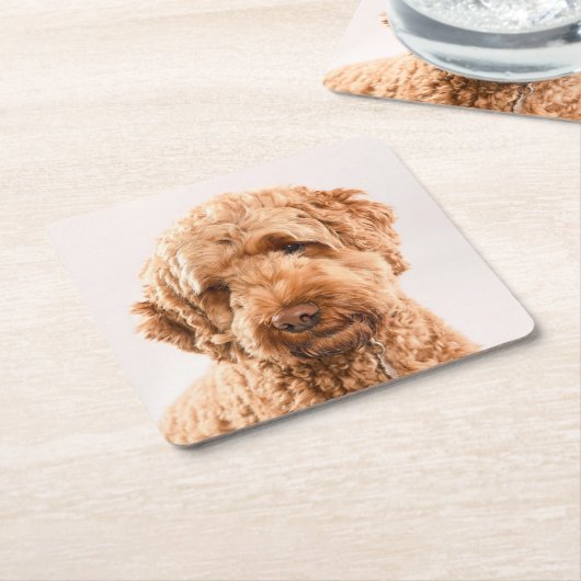 Goldendoodle Studio Portrait Rechteckiger Pappuntersetzer (angewinkelt)