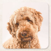 Goldendoodle Studio Portrait Rechteckiger Pappuntersetzer (Vorderseite)