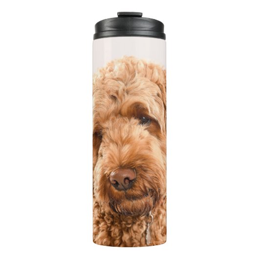 Goldendoodle Studio Portrait Thermosbecher (Vorderseite)
