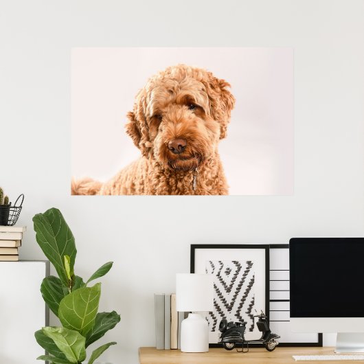 Goldendoodle Studio Poster (Heimbüro)