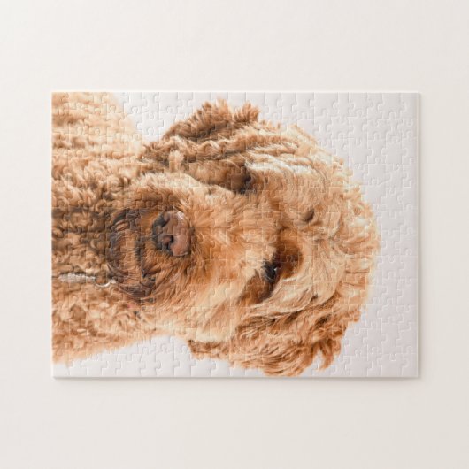 Goldendoodle Studio Puzzle (Horizontal)