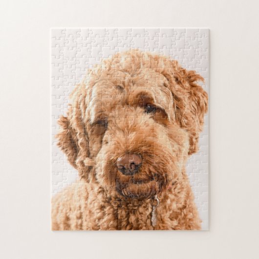 Goldendoodle Studio Puzzle (Vertikal)