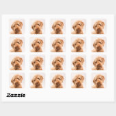 Goldendoodle Studio Quadratischer Aufkleber (Blatt)