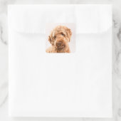 Goldendoodle Studio Quadratischer Aufkleber (Tasche)