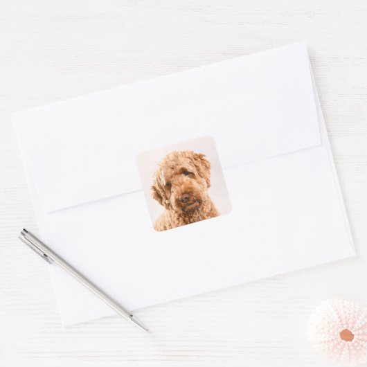 Goldendoodle Studio Quadratischer Aufkleber (Umschlag)