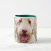 Goldendoodle Tasse (Zentrum)