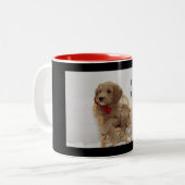 Goldendoodle-Tasse Zweifarbige Tasse (Vorderseite Links)
