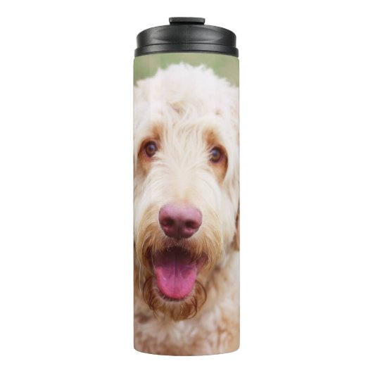 Goldendoodle Thermosbecher (Vorderseite)