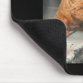 Goldendoodle trinkt Eiskaffee lustiger Hunde-MemeG Mousepad (Ecke)