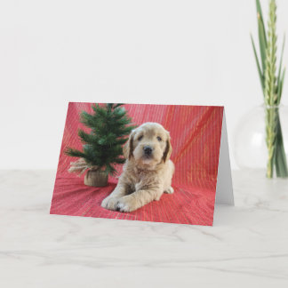 Goldendoodle-Urlaubskarte Feiertagskarte
