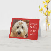 Goldendoodle Valentine-Tageskarte Karte (Gelbe Blume)