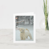 Goldendoodle Weihnachten (Vorderseite)