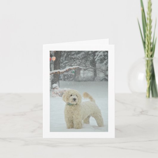 Goldendoodle Weihnachten (Vorderseite)