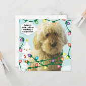 Goldendoodle Weihnachten, Doodle Fun Karte (Vorderseite/Rückseite Beispiel)