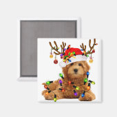 Goldendoodle Weihnachten Rentiere Weihnachten Weih Magnet (Vorderseite/Rückseite)