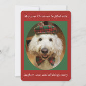 Goldendoodle Weihnachtskarte Feiertagskarte (Vorderseite)
