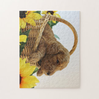 Goldendoodle Welpe 11X14 (252 PC.) Puzzlespiel Puzzle