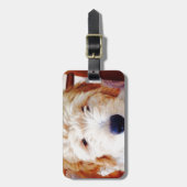 Goldendoodle Welpe Gepäckanhänger (Vorderseite vertikal)
