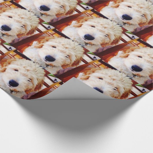 Goldendoodle Welpe Geschenkpapier (Ecke)