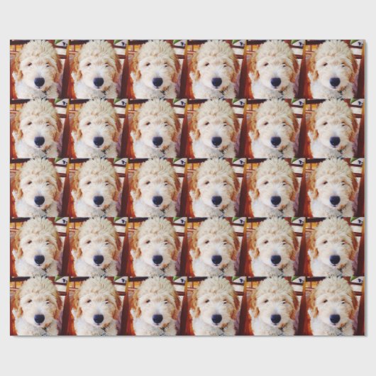 Goldendoodle Welpe Geschenkpapier (Flach)