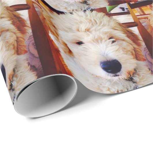 Goldendoodle Welpe Geschenkpapier (Rolleneckpunkt)