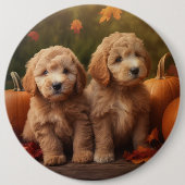 Goldendoodle Welpe Herbst Kürbis Button (Vorderseite)