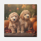 Goldendoodle Welpe Herbst Kürbis Magnet (Vorne)
