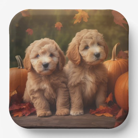 Goldendoodle Welpe Herbst Kürbis Pappteller (Vorderseite)