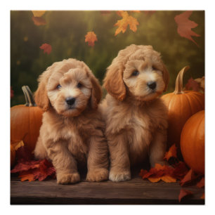 Goldendoodle Welpe Herbst Kürbis Poster