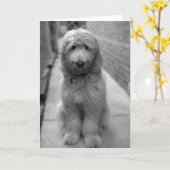 Goldendoodle-Welpe im Garten Karte (Gelbe Blume)