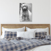 Goldendoodle-Welpe im Garten Leinwanddruck (Insitu (Schlafzimmer))