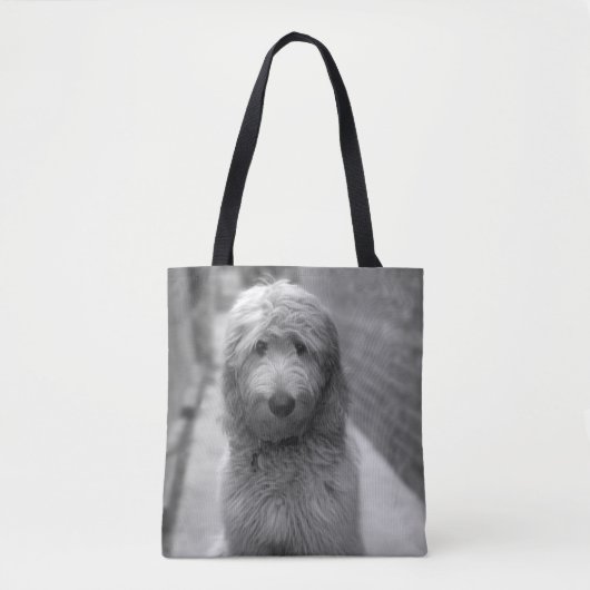 Goldendoodle-Welpe im Garten Tasche (Vorderseite)