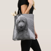 Goldendoodle-Welpe im Garten Tasche (Von Nahem)