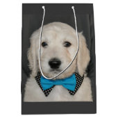 Goldendoodle Welpe in der Mittlere Geschenktüte (Vorderseite)