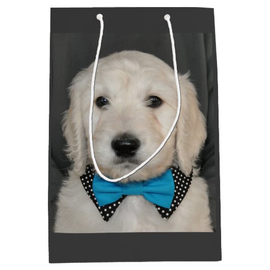 Goldendoodle Welpe in der Mittlere Geschenktüte (Vorderseite)