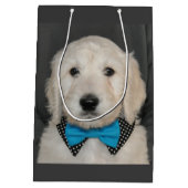 Goldendoodle Welpe in der Mittlere Geschenktüte (Rückseite)