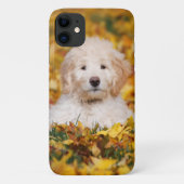 Goldendoodle Welpe in Herbstlauben Case-Mate iPhone Hülle (Rückseite)