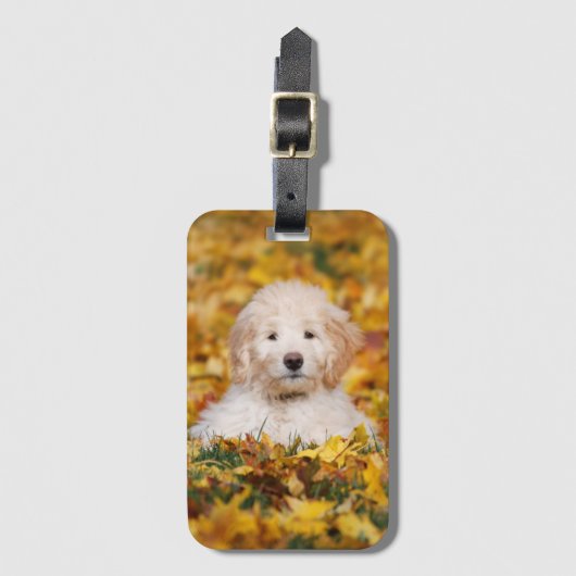 Goldendoodle Welpe in Herbstlauben Gepäckanhänger (Vorderseite Vertikal)