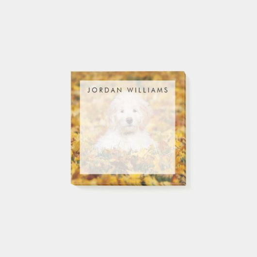 Goldendoodle Welpe in Herbstlauben Post-it Klebezettel (Vorderseite)