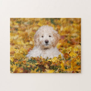 Goldendoodle Welpe in Herbstlauben Puzzle