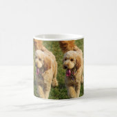 Goldendoodle-Welpe Kaffeetasse (Mittel)