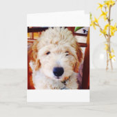 Goldendoodle Welpe Karte (Gelbe Blume)