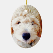 Goldendoodle Welpe Keramik Ornament (Vorne)