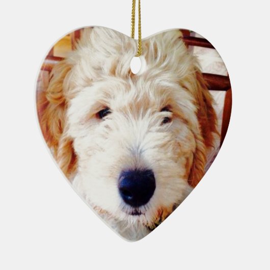 Goldendoodle Welpe Keramik Ornament (Rechts)